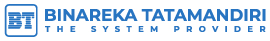 Binareka Logo